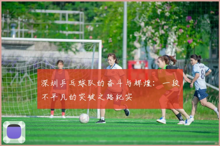 深圳乒乓球队的奋斗与辉煌：一段不平凡的突破之路纪实