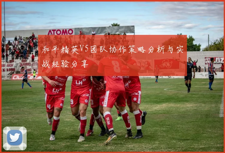 和平精英V5团队协作策略分析与实战经验分享